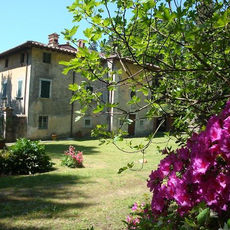 Bed & Breakfast Villa Masini-Luccetti 彼得拉桑塔 外观 照片
