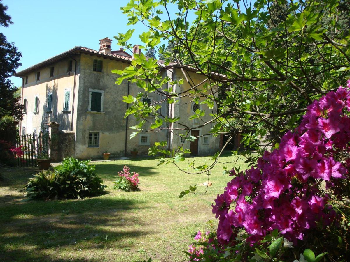 Bed & Breakfast Villa Masini-Luccetti 彼得拉桑塔 外观 照片